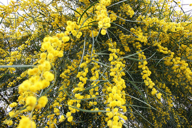 Similar image 224541