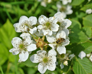 Similar image 224548