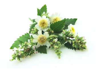 Similar image 224552