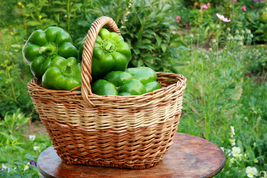 Similar image 224560