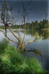 Similar image 224568