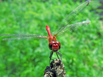 Similar image 224570