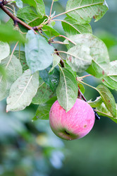 Similar image 224573