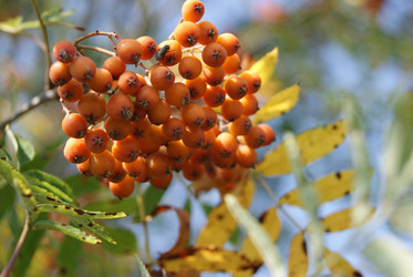 Similar image 224580