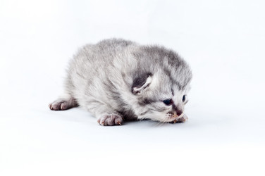 Similar image 224594