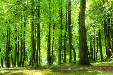 Similar image 224609