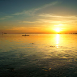 Similar image 224612