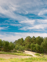 Similar image 224620