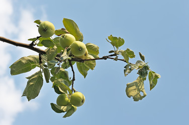 Similar image 224621