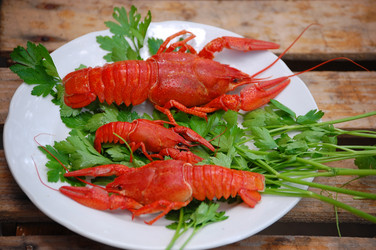 Similar image 224626