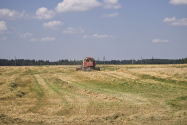 Similar image 224639