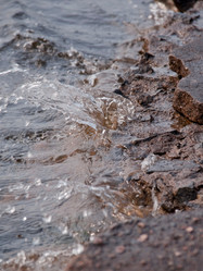 Similar image 224648