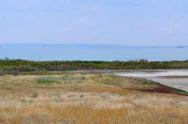 Similar image 224677