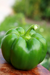 Similar image 224701