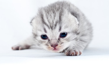 Similar image 224724