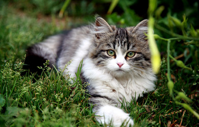 Similar image 224730