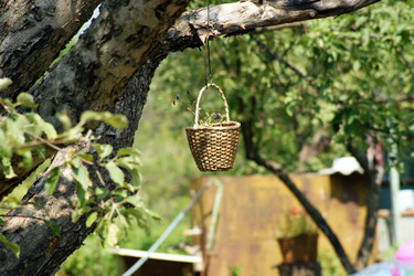 Similar image 224733