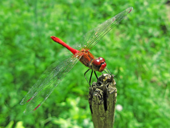 Similar image 224734