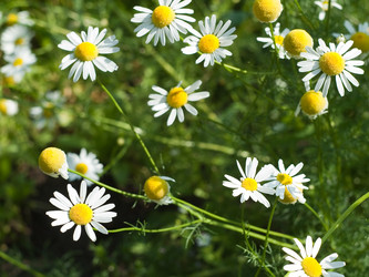 Similar image 224762