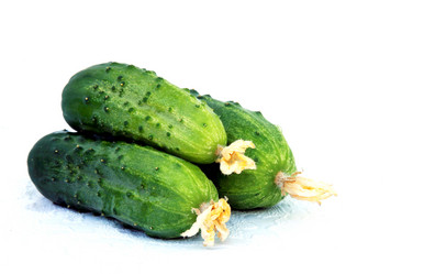 Similar image 224809