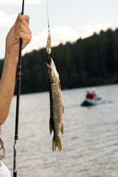 Similar image 224854