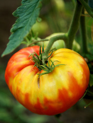 Similar image 224864