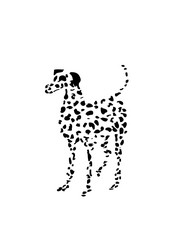 Similar image 224944