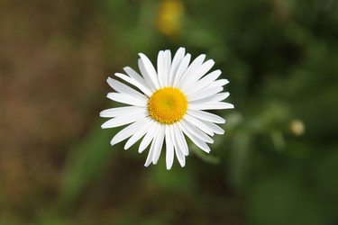 Similar image 224947