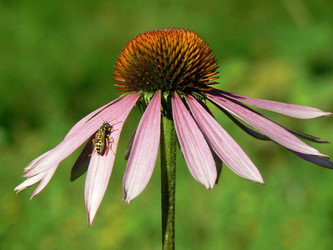 Similar image 224994