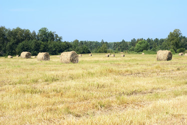 Similar image 224998