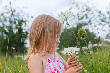 Similar image 225006