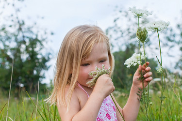 Similar image 225007