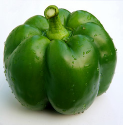 Similar image 225032