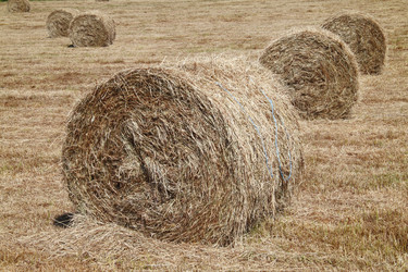 Similar image 225046