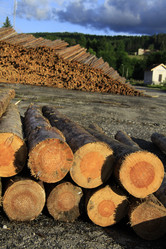 Similar image 225048