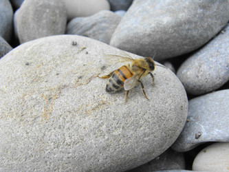 Similar image 225058