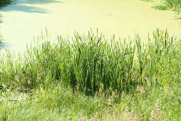 Similar image 225065