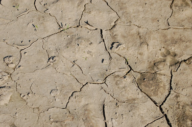 Similar image 225094