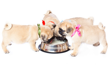 Similar image 225097