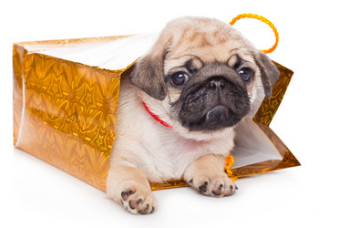 Similar image 225104