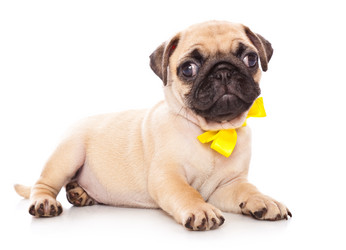 Similar image 225106