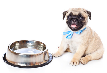 Similar image 225108