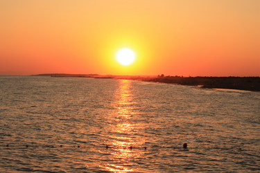 Similar image 225132