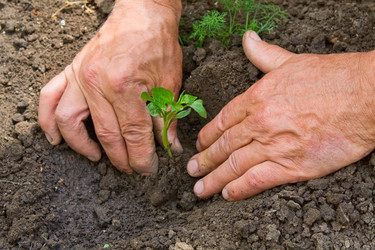 Similar image 225138