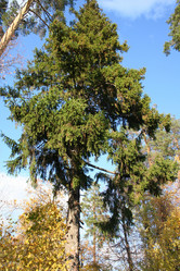 Similar image 225166