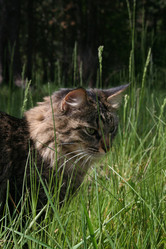 Similar image 225167