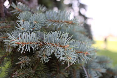 Similar image 225169