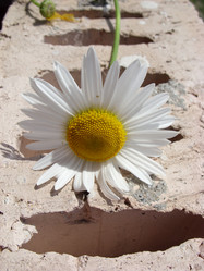 Similar image 225171