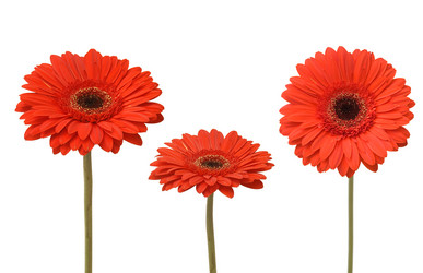 Similar image 225188