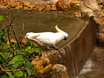 Similar image 225249